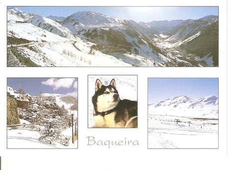 Postal 039022 : Baqueira. Pirineu catala (Lleida). Baqueira