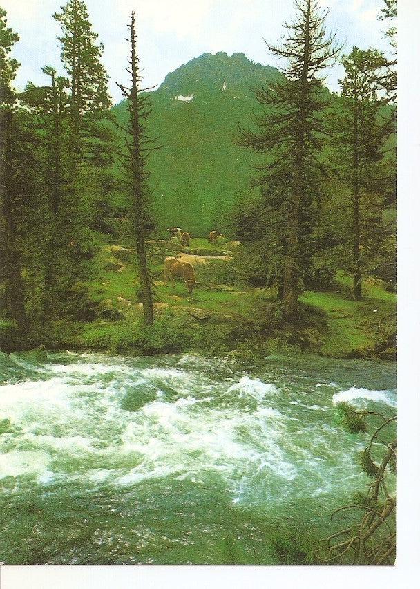 Postal 039032 : Pirineu Catala - Vall de Bohi. Parc Nacional dAigues Tortes