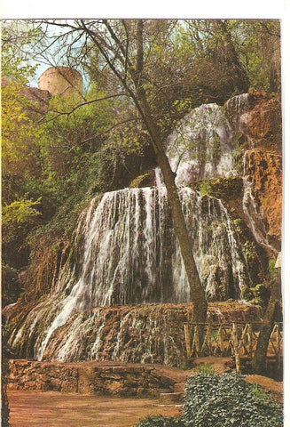 Postal 039087 : Monasterio de Piedra (Zaragoza). Cascada . Trinidad