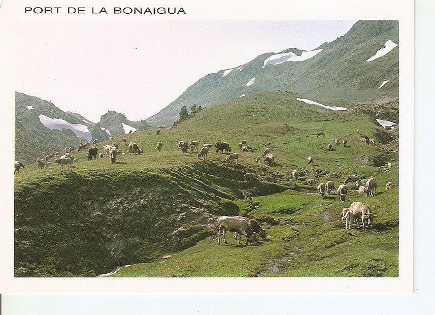 Postal 039098 : Port de la Bonaigua. Pirineu catalan