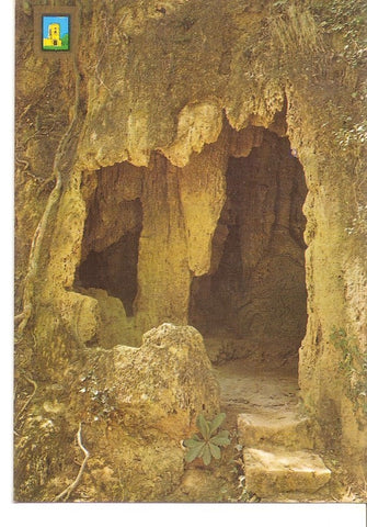 Postal 039112 : Monasterio de Piedra (Zaragoza). Gruta de la Pantera
