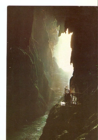 Postal 039118 : Monasterio de Piedra (Zaragoza). Gruta de la Cola del Caballo