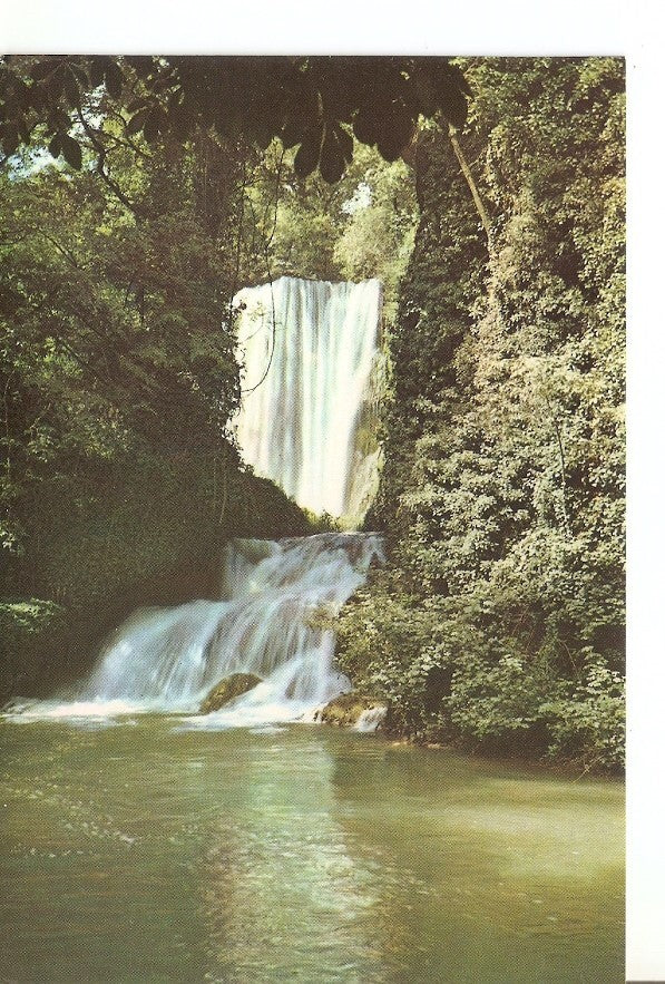 Postal 039120 : Monasterio de Piedra (Zaragoza). Baño de Diana y Cascada Caprichosa