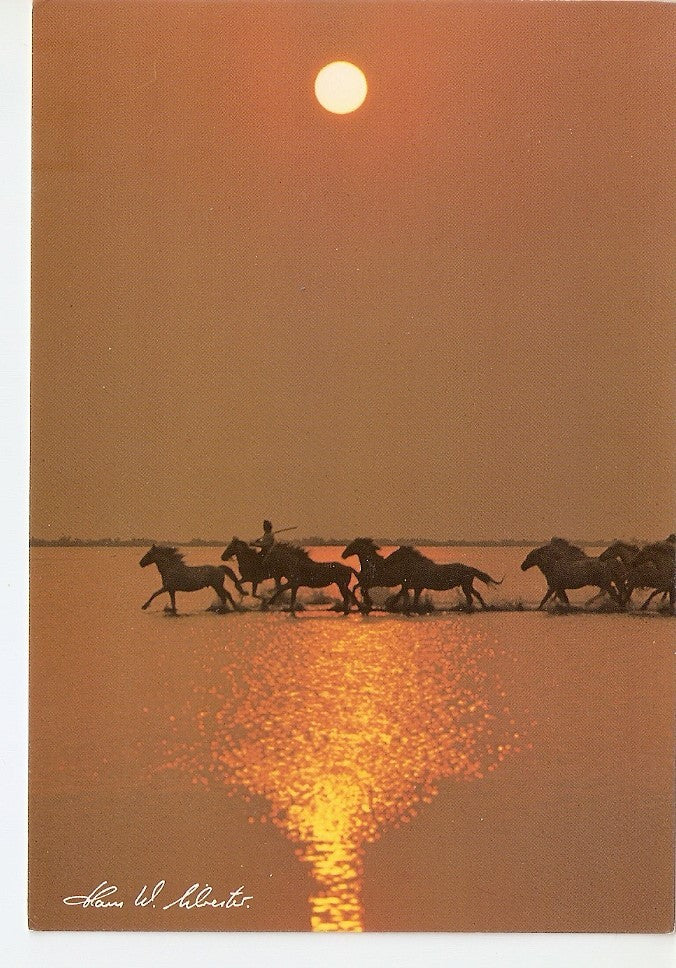 Postal 039151 : Puesta de Sol