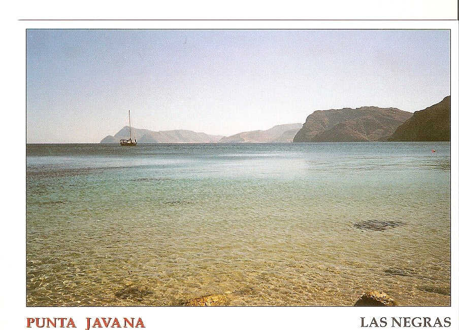 Postal 039224 : Punta Javana. Las Negras. Parque Natural Cabo de Gata - Nijar