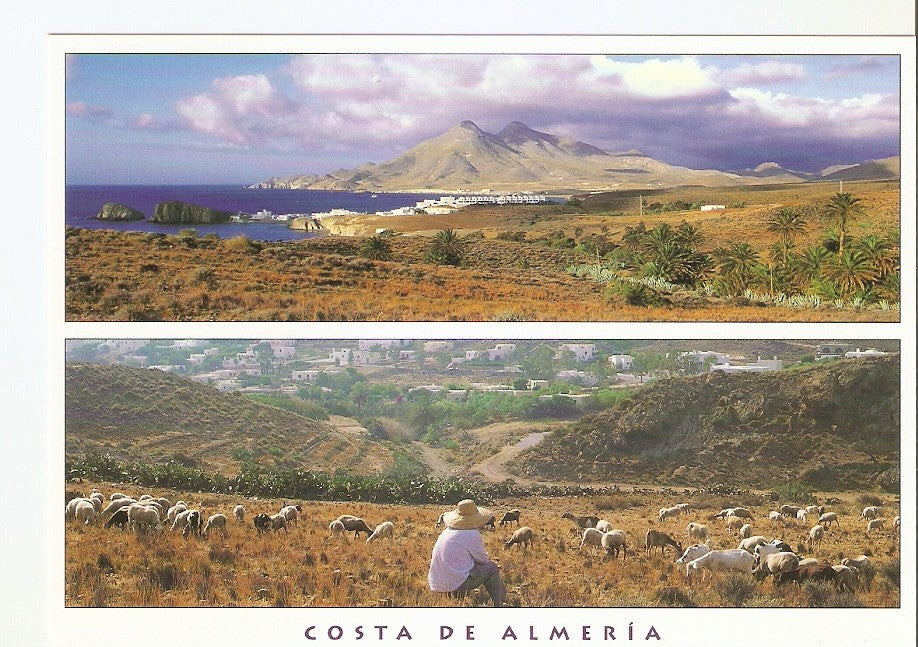 Postal 039226 : Almeria. La Isleta del Moro y Las Negras. Parque Natural Cabo de Gata - Nijar