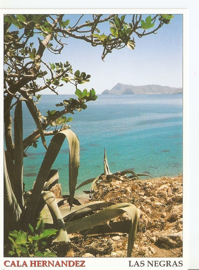 Postal 039236 : Cala Hernandez. Las Negras. Parque Natural Cabo de Gata - Nijar