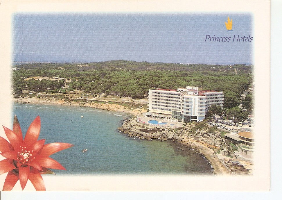 Postal 039243 : Hotel Negresco Princess