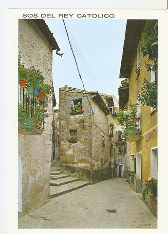 Postal 039252 : Sos del Rey Catolico. Calle de Fernando el Catolico y subida a la calle del Martillo