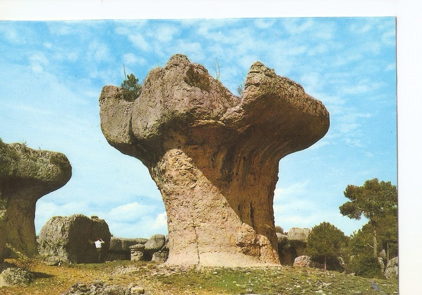 Postal 039267 : Cuenca. Ciudad Encantada. El Frutero