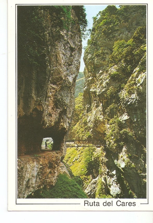 Postal 039271 : Ruta del Cares. Picos de Europa