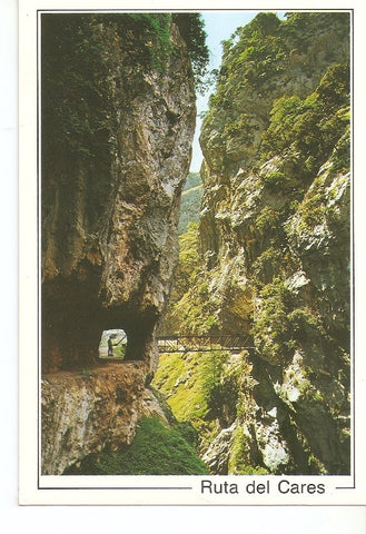 Postal 039271 : Ruta del Cares. Picos de Europa