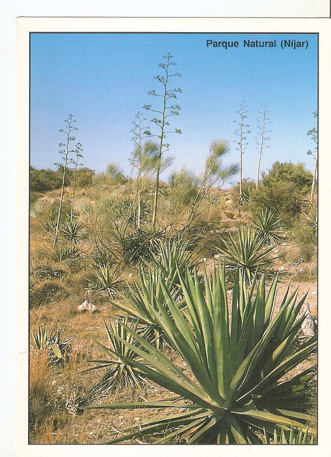 Postal 039279 : Parque Natural Nijar. Almeria