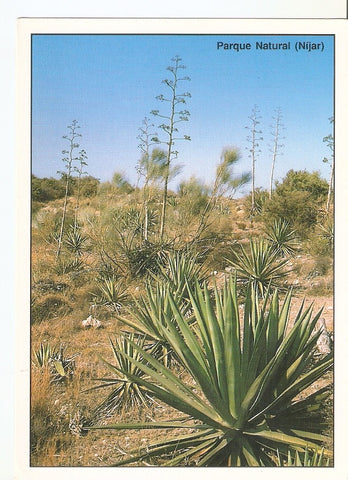 Postal 039279 : Parque Natural Nijar. Almeria