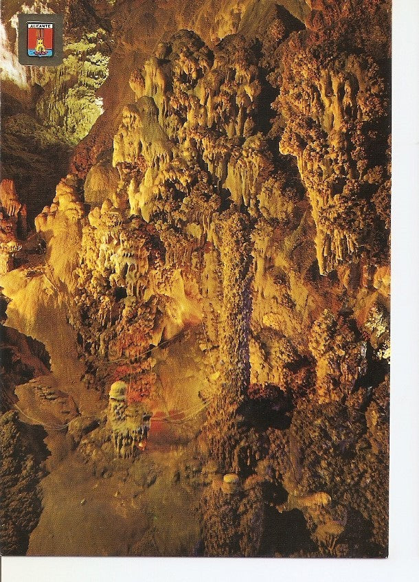Postal 039331 : Alicante. Busot. Cuevas del Canalobre. Cactus