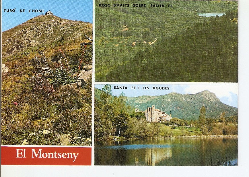 Postal 039345 : El Montseny