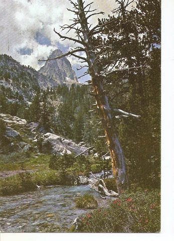 Postal 039349 : Benasque (Pirineo Aragones). Batisielles y Aguja de Parramo