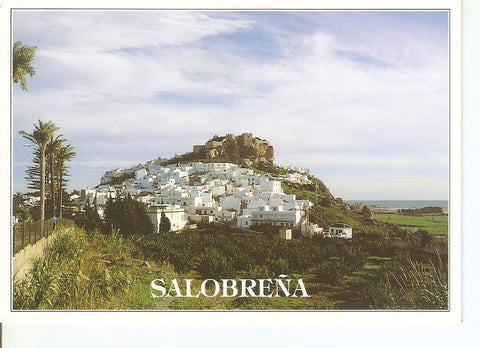 Postal 039360 : Salobreña. Vista general