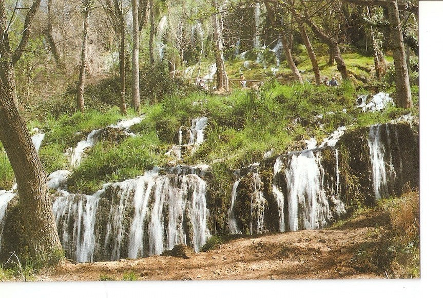 Postal 039365 : Monasterio de Piedra (Zaragoza). Los Chorreadores