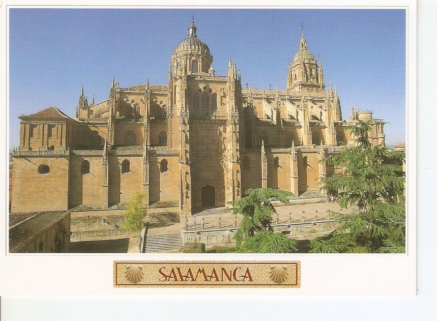 Postal 039390 : Salamanca. Catedral nueva