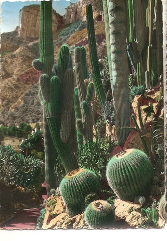 Postal 039446 : Cactus