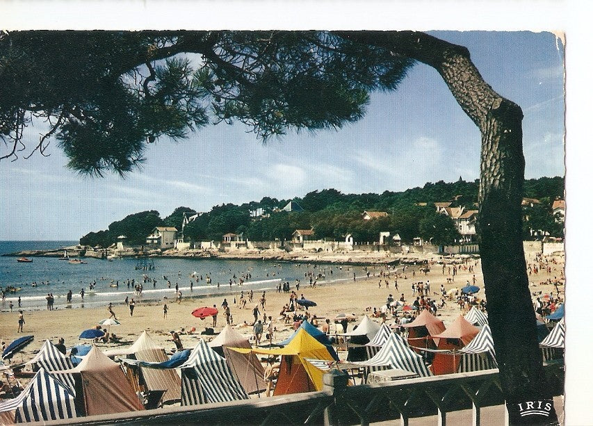 Postal 039453 : Saint-Palais-Sur-Mer- la Plage. Cote de Beaute