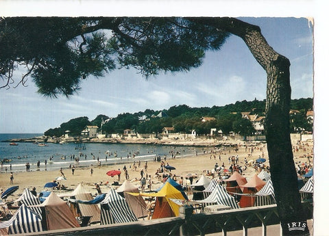 Postal 039453 : Saint-Palais-Sur-Mer- la Plage. Cote de Beaute