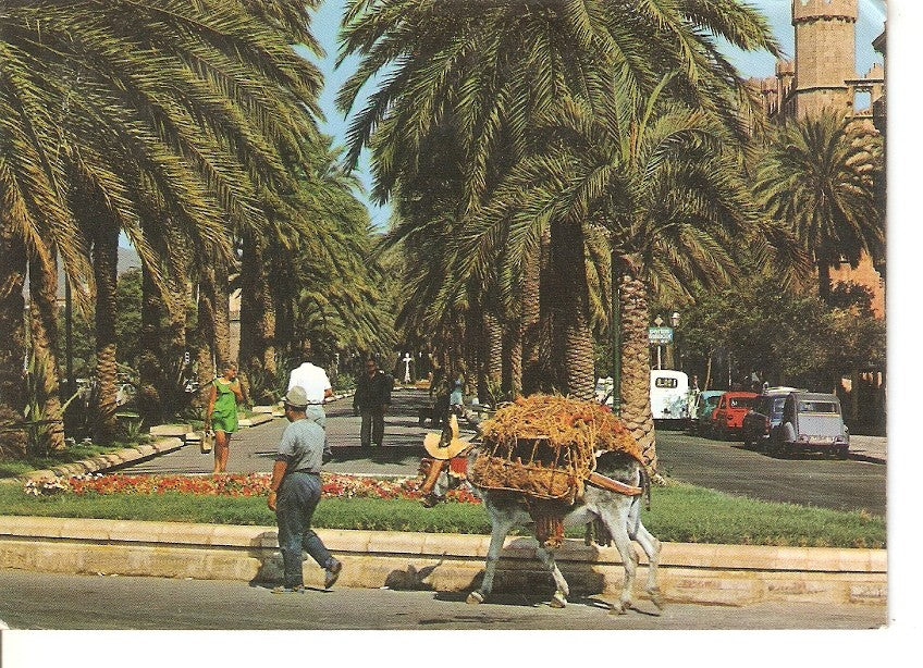 Postal 039455 : Palma de Mallorca. Paseo de Sagrera