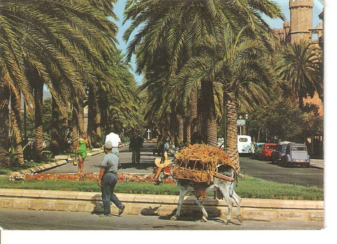 Postal 039455 : Palma de Mallorca. Paseo de Sagrera