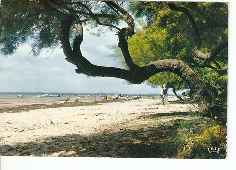 Postal 039458 : Bassin dArcachon. Andernos-les-Bains. La Plage