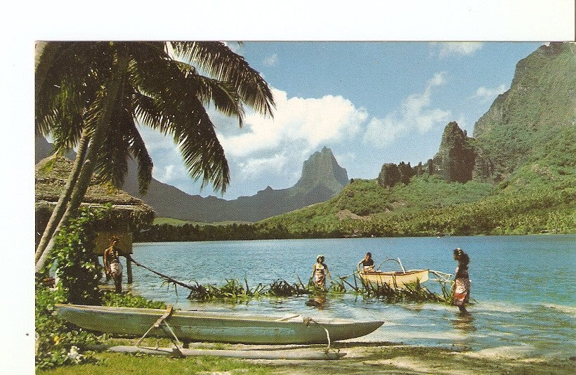 Postal 039498 : The Bay of Paopao - Moorea. Woven palm are a good means of fishing