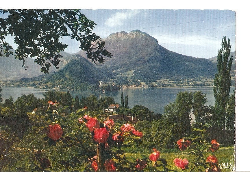 Postal 039529 : Lac dAnnecy. Baie de Talloires