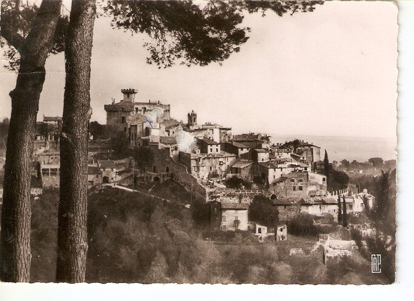 Postal 039540 : Cagnes-sur-Mer. Vue a travers les Pins