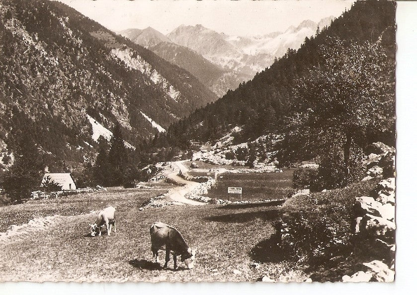 Postal 039556 : St-Martin-Vesubie (A.-M.) - Vallee du Boreon. Frontiere Franco-Italienne
