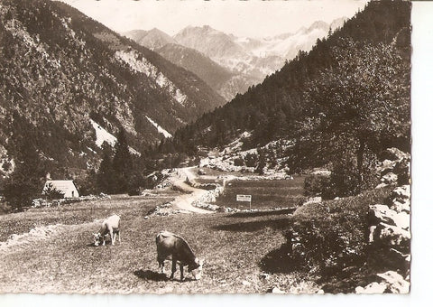 Postal 039556 : St-Martin-Vesubie (A.-M.) - Vallee du Boreon. Frontiere Franco-Italienne