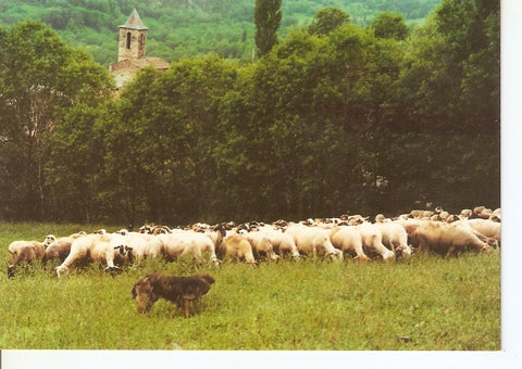 Postal 039587 : Meranges (Girona). La Cerdanya Pirineu Oriental. Remat de Cal Joan