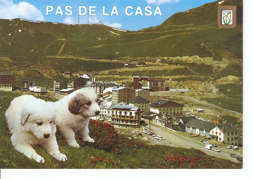Postal 039635 : Valls dAndorra. Pas de la Casa