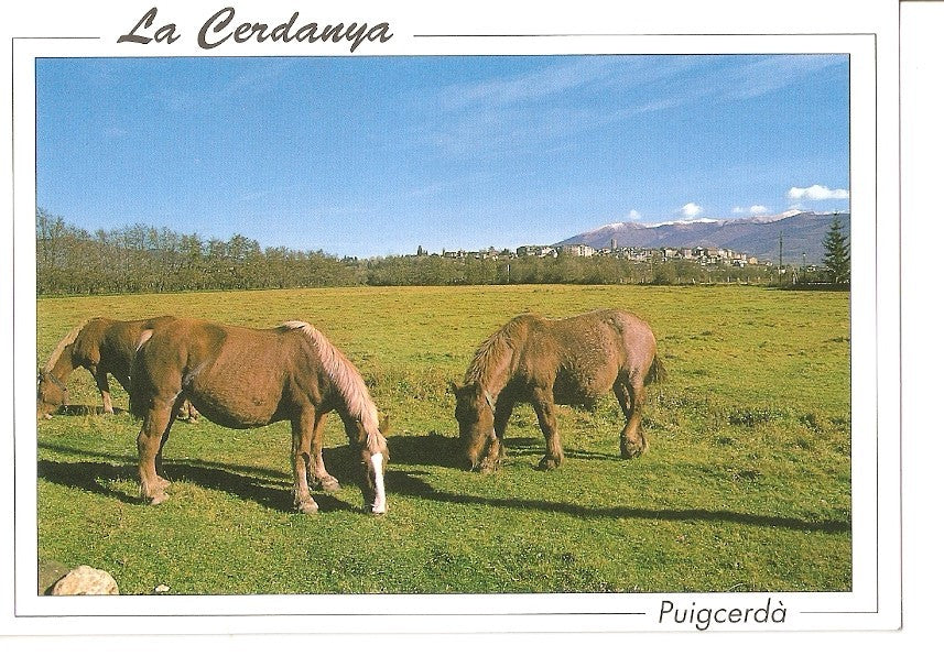 Postal 039637 : La Cerdanya. Puigcerda