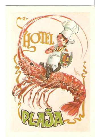 Postal 039671 : Hotel Plaja. Begur (Girona)