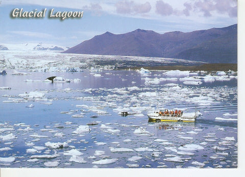 Postal 039695 : Glaciar Lagoon