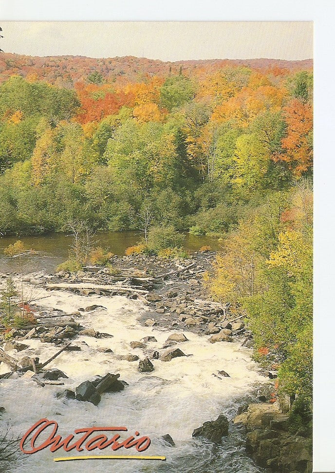 Postal 039697 : Ontario Ragged Falls near Algonquin Park Ontario