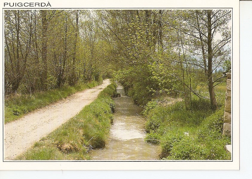 Postal 039720 : Puigcerda (Girona). Cami dels Enamorats