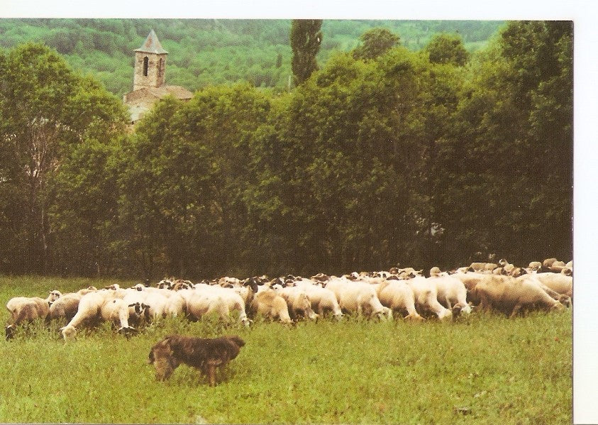 Postal 039725 : Meranges (Girona). La Cerdanya Pirineu Oriental. Remat de Cal Joan