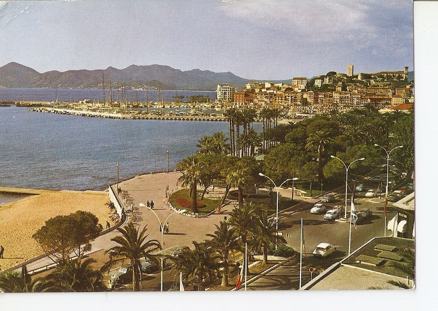Postal 039750 : Cannes. Une partie des Jardins le Suquet le Port