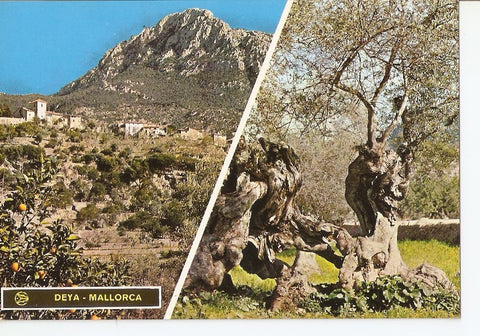 Postal 039774 : Deya - Mallorca