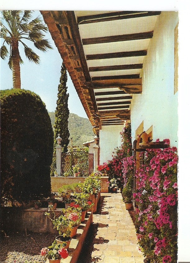Postal 039778 : Mallorca (Baleares) España. Valldemosa - Jardin de la Celda de Chopin