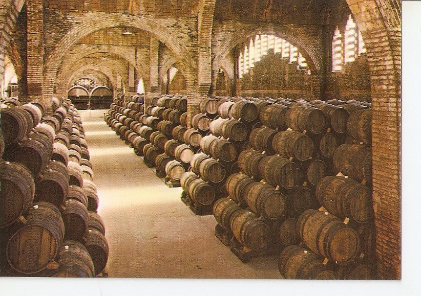 Postal 039845 : Cavas Codorniu. Una bodega. Monumento Nacional