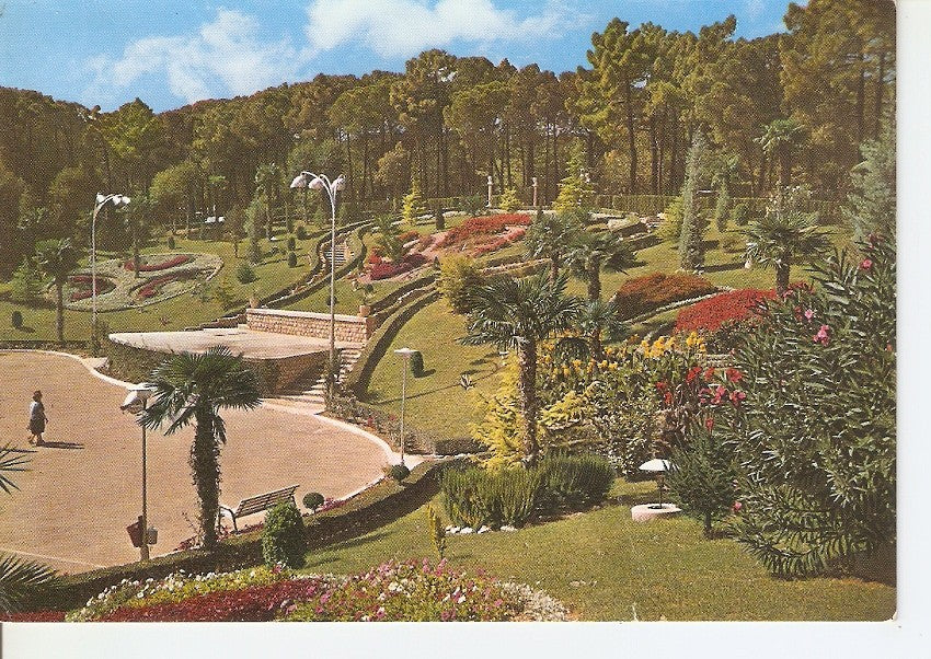 Postal 039913 : Zaragoza. Jardin de invierno