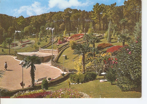 Postal 039913 : Zaragoza. Jardin de invierno