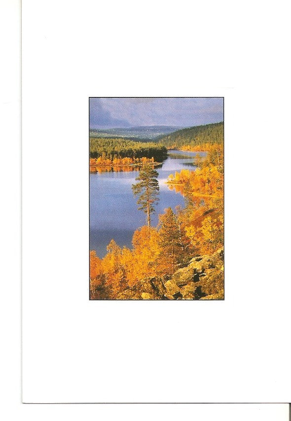 Postal 039966 : Suomi - Finland